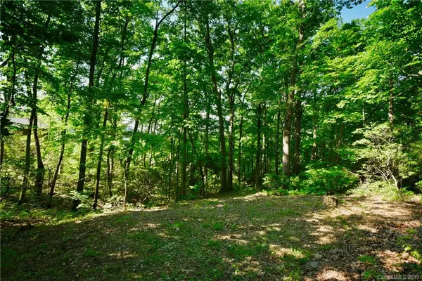 1117 Timberbluff WAY #Lot 53, Arden, NC 28704