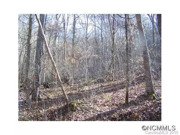 Lot 97 Whispering Woods PATH #97, Mars Hill, NC 28754