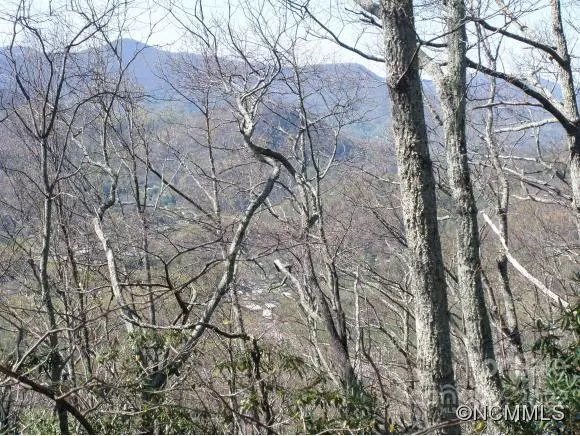 Maggie Valley, NC 28751,0 Anglers Ridge RD #B1, B2,B3,B4