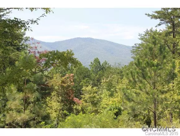 9999 Pisgah Preserve Drive DR, Nebo, NC 28761