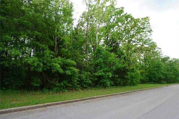 0 Columbia Avenue Lot 20, Rolla, MO 65401