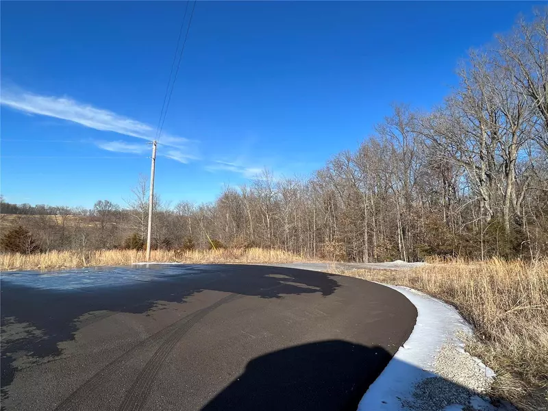 0 lot 34B Woods View LN, Perryville, MO 63775