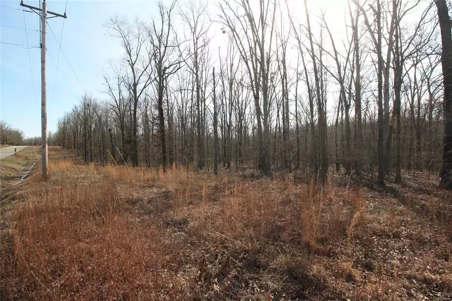 0 Lot 4 Holiday Hills Dev, Wappapello, MO 63966