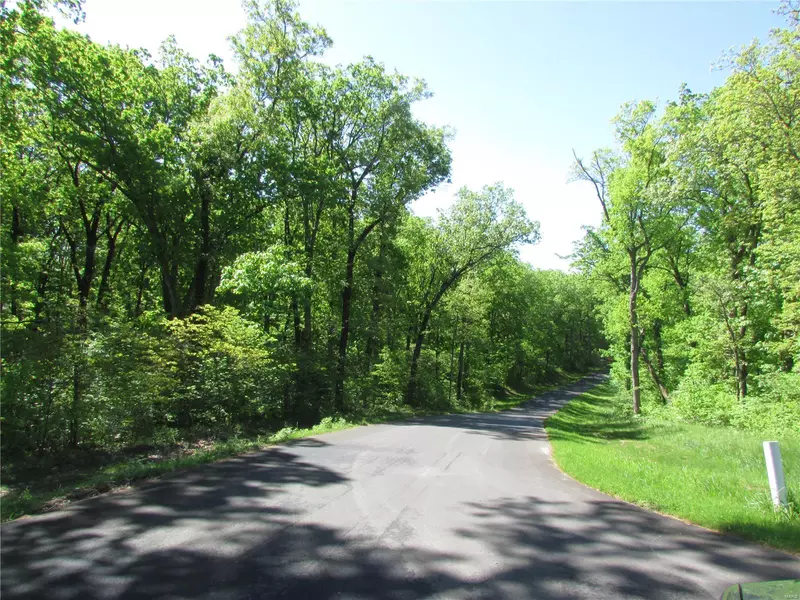 0 Lot #36 Bristol Ridge, Troy, MO 63379