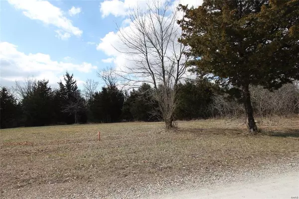 0 Lot 35 & 36 Brandywine Drive, De Soto, MO 63020