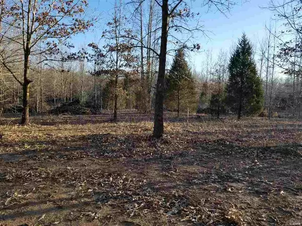 0 CR 517 LOT 6, Wappapello, MO 63966