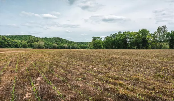 Laquey, MO 65534,0 Stillwater Road- Tract 4