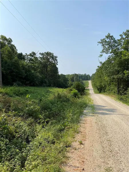 13 Lot 13 Sequoia Rd, Laquey, MO 65534