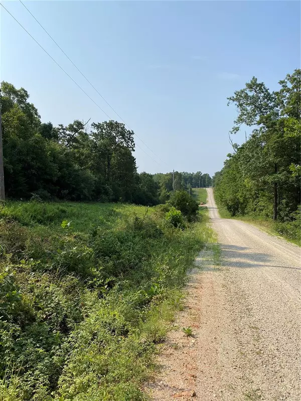 13 Lot 13 Sequoia Rd,  Laquey,  MO 65534