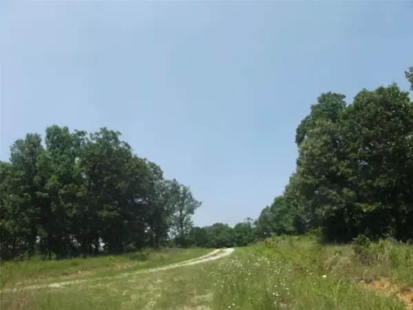 0 Lot 28 Holiday Hills Dev, Wappapello, MO 63966