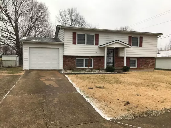 Fredericktown, MO 63645,113 Jennifer St