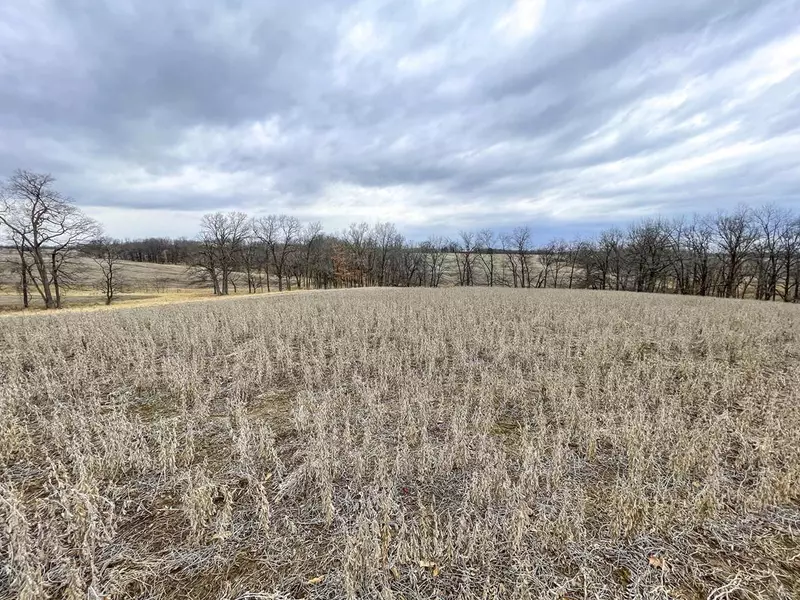 0 Tickridge (57 Ac) RD, Silex, MO 63377