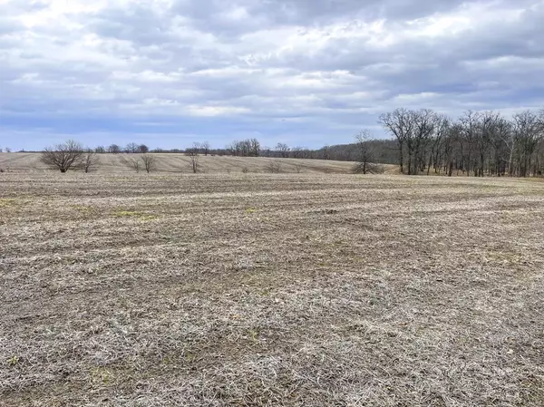 Silex, MO 63377,0 Tickridge (57 Ac) RD