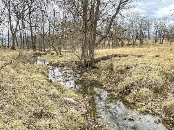 Silex, MO 63377,0 Tickridge (57 Ac) RD