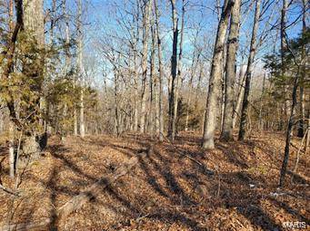 Irondale, MO 63648,12266 Bismarck Ridge RD