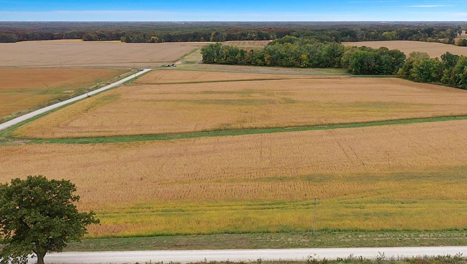 0 Hwy DD,  Bellflower,  MO 63333
