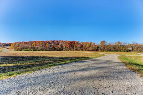 Wentzville, MO 63385,201 Holt Farm / Lot 21