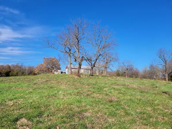 Montgomery City, MO 63361,0 Harris Rd. (29.32+/- Acres)