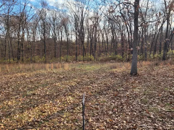 Foley, MO 63347,128 Saxony Woods Dr (3.96+/- Ac) DR