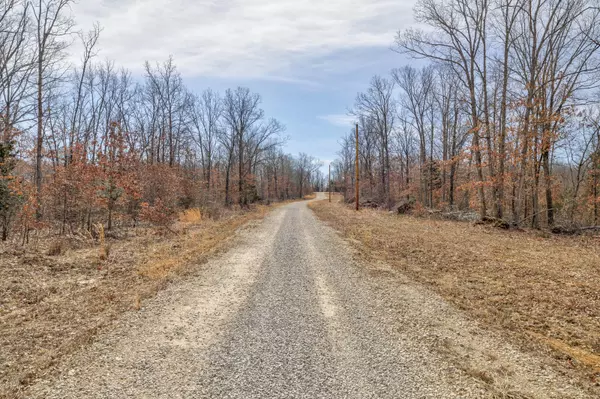 Bonne Terre, MO 63628,0 LOT 3 Edgewood Estates