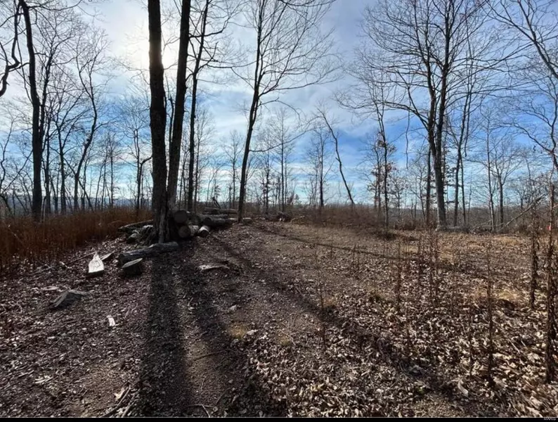 0 County Road 846, Bunker, MO 63629