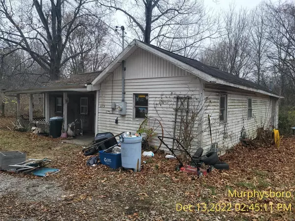 375 Wells, Murphysboro, IL 62966