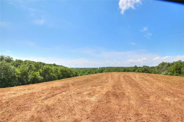 0 27.4 Ac m/l Deer Run, Elsberry, MO 63343