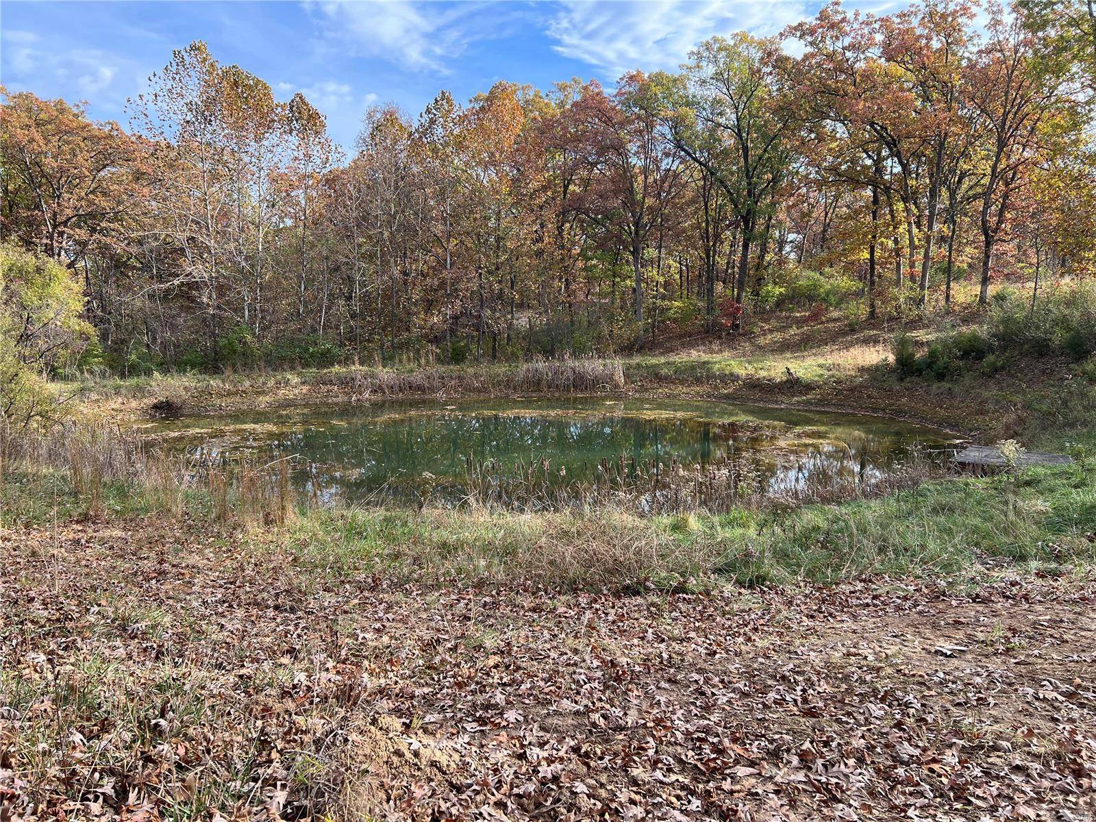 Winfield, MO 63347,111 Rex Ct