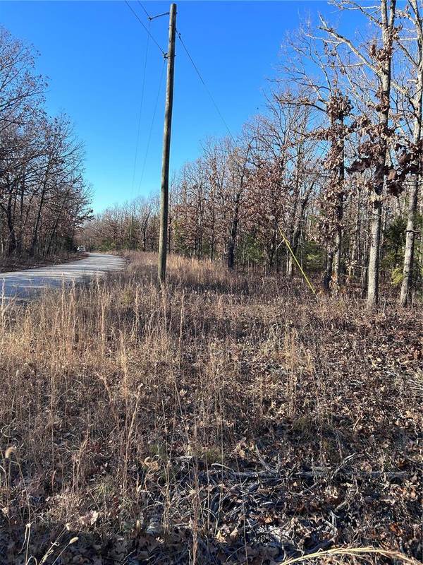 0 Fire Tower RD,  Steelville,  MO 65565