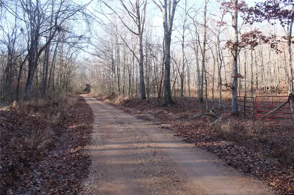 Marble Hill, MO 63764,0 Tract 1 - BCR 532