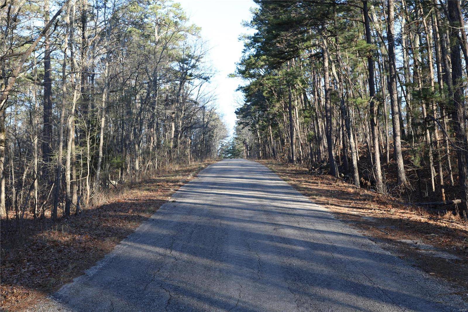 Williamsville, MO 63967,0 County Road 405