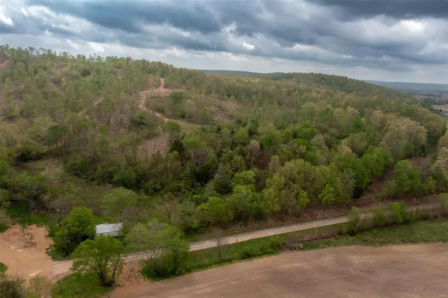 0 Tract 1 Hwy MM, Glen Allen, MO 63751