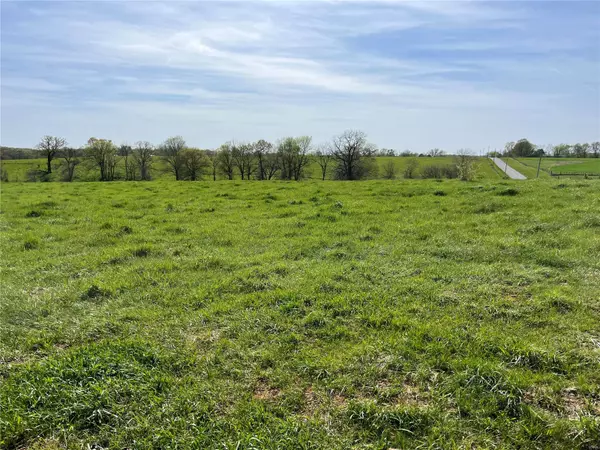 0 Lot 3 Spring Valley DR, Bowling Green, MO 63334