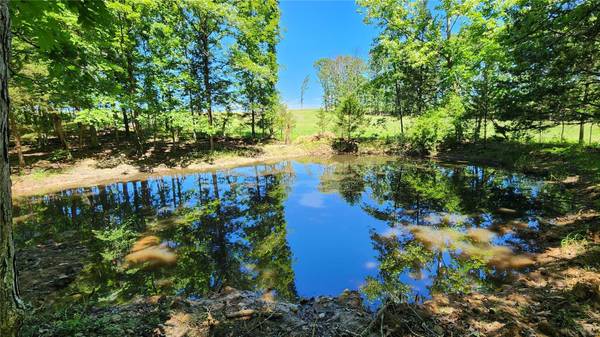 0 28 Acres Highway F, St James, MO 65559