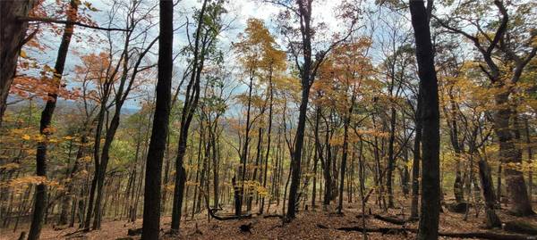 0 Athlone Ct 3.98 Ac, Cedar Hill, MO 63016