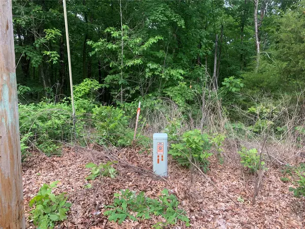 New Florence, MO 63363,60 Bear Creek Trail