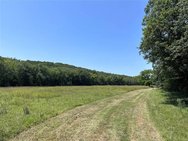 22 Hematite Farms Rd, Festus, MO 63028