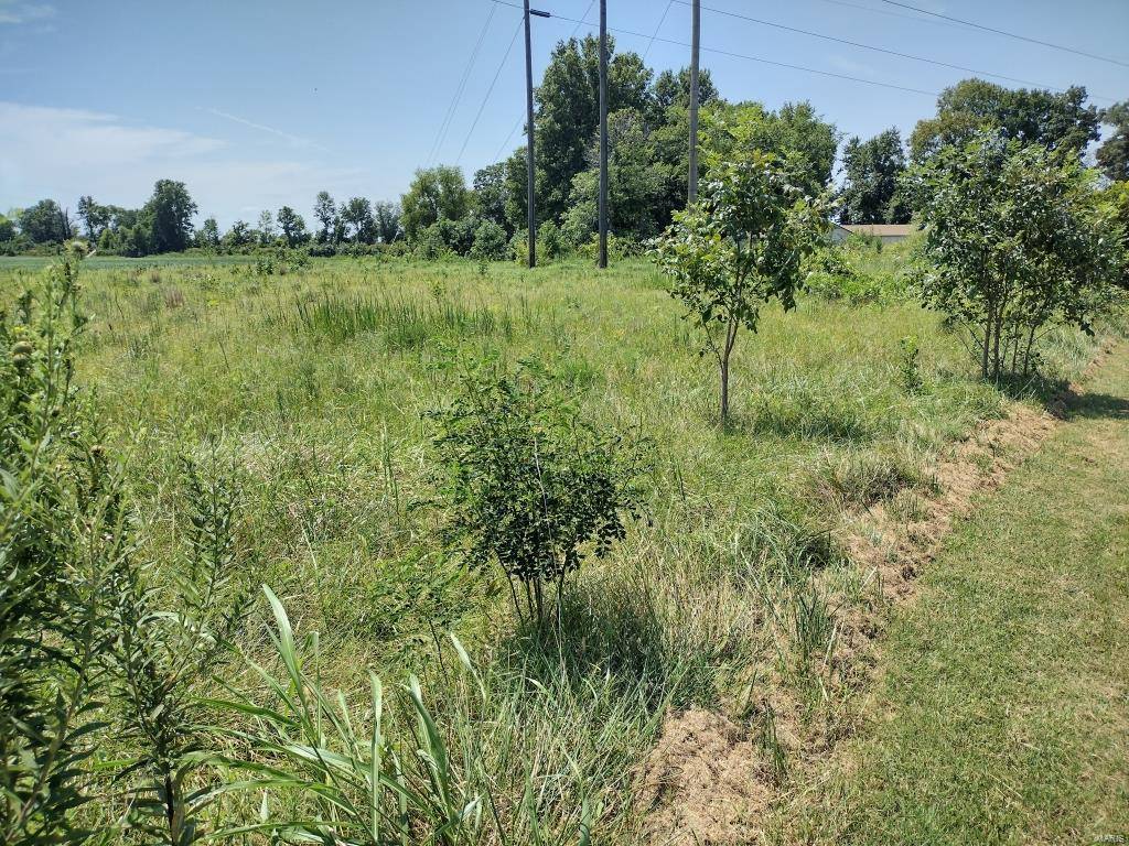 Qulin, MO 63961,9400 Mo-53
