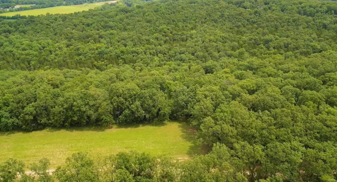 Festus, MO 63028,3 LOT Bage Rd