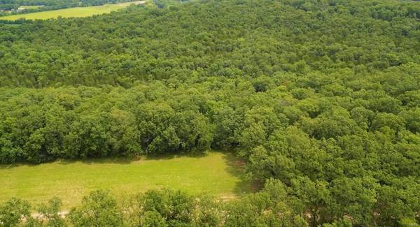 3 LOT Bage Rd, Festus, MO 63028