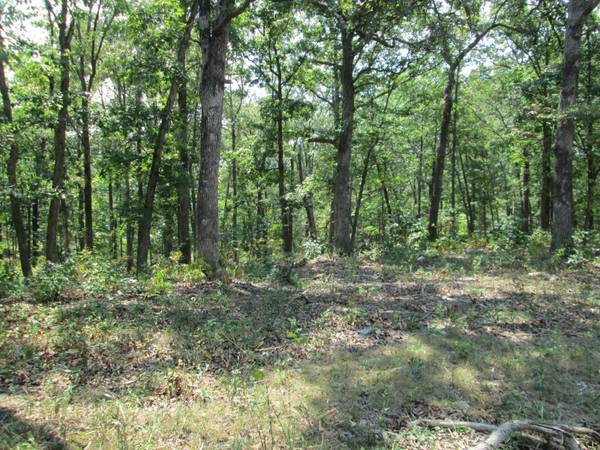 0 Hwy 30 Gravois Rd 14.73 acres, St Clair, MO 63077