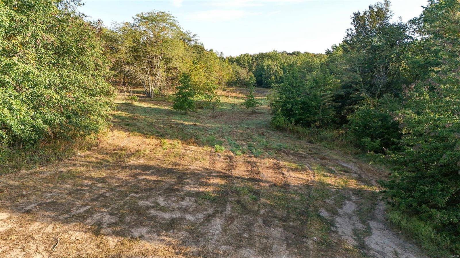 Perry, MO 63462,41071 Washington (Lot #9) LN