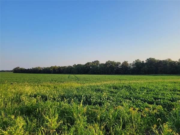 0 Hwy DD (37.53+/- Ac) Tract F, Bellflower, MO 63333