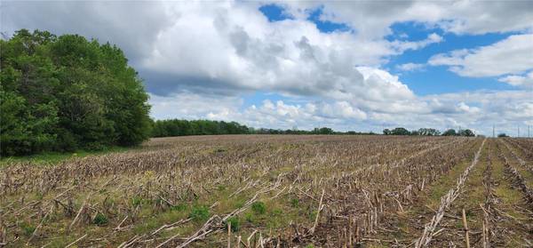 0 Highway B (30+/- Acres), Elsberry, MO 63343