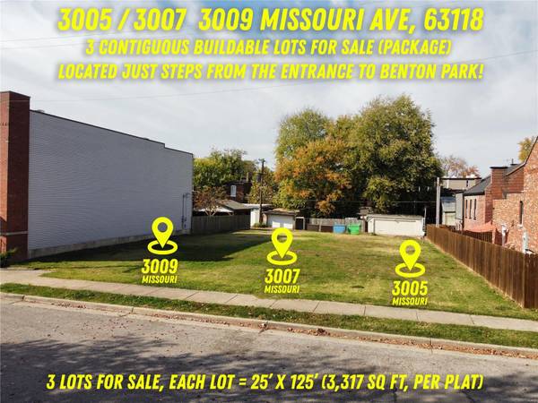 3009 Missouri AVE, St Louis, MO 63118