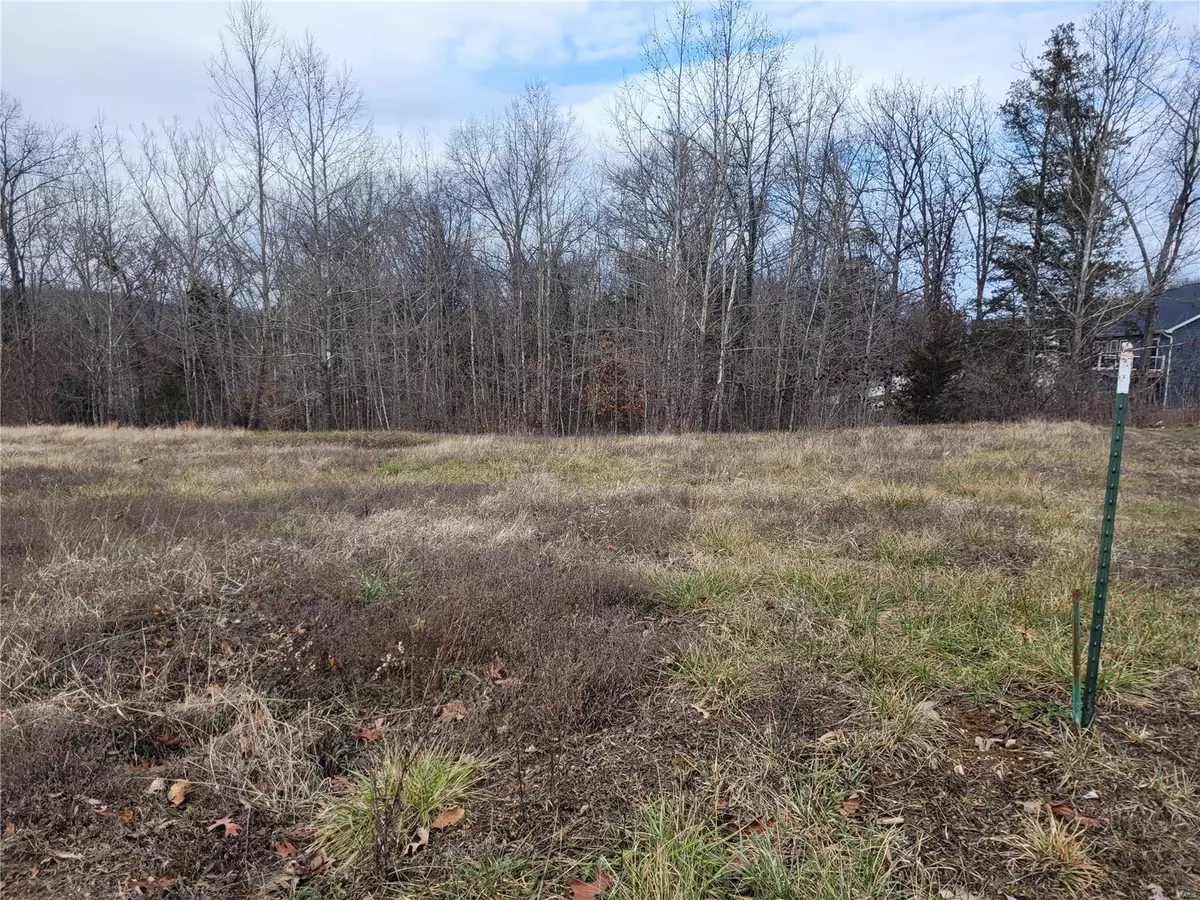 Troy, MO 63379,264 Auburn Ridge Dr. (Lot 64)