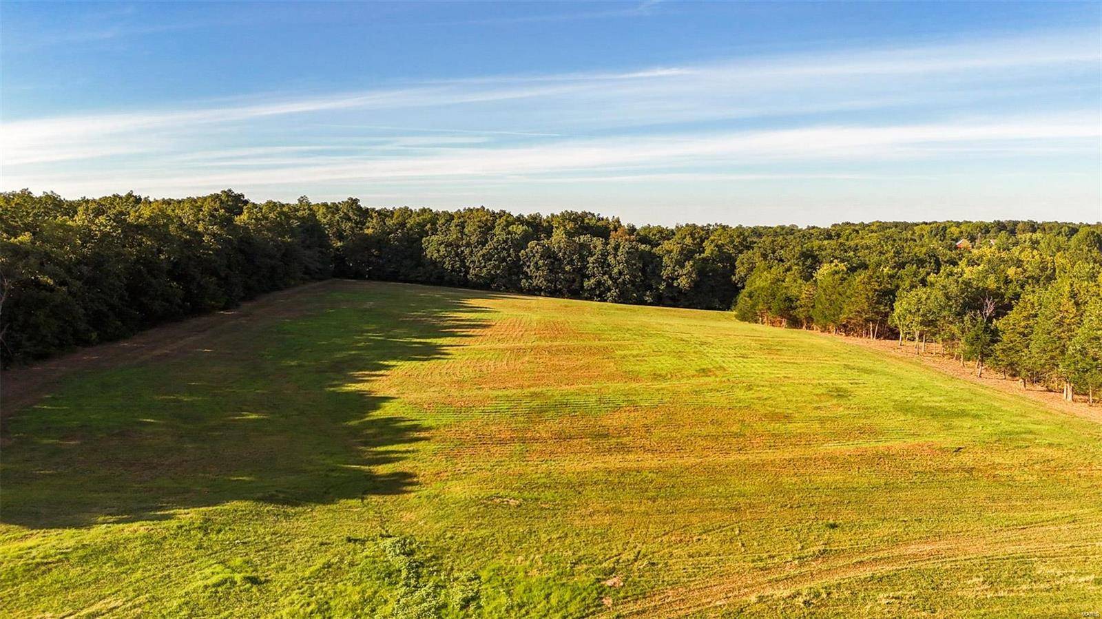 Wentzville, MO 63385,3731 Holt Rd - 9.91 Acres