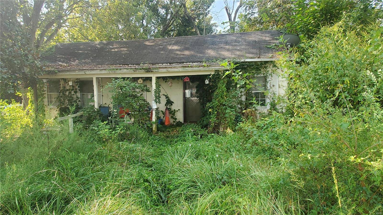 204 Douglas ST, Festus, MO 63028