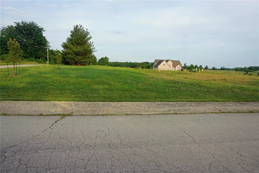 1201 Gardenia CT, St James, MO 65559