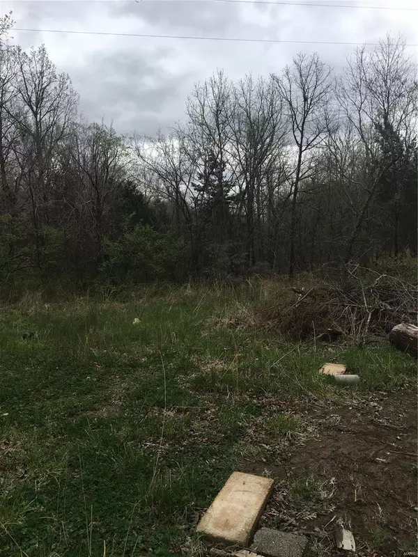 Bismarck, MO 63624,16832 MO-32